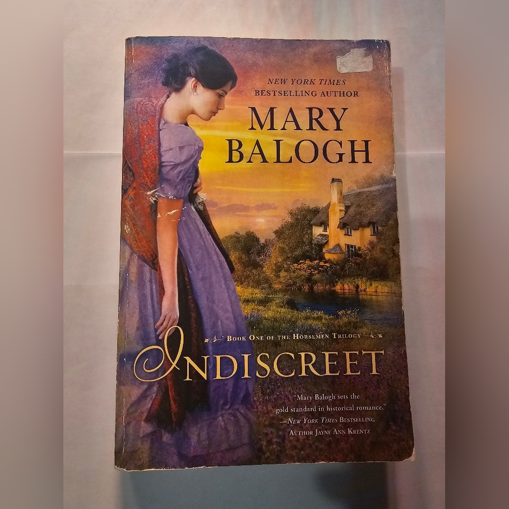 Indiscreet romance book